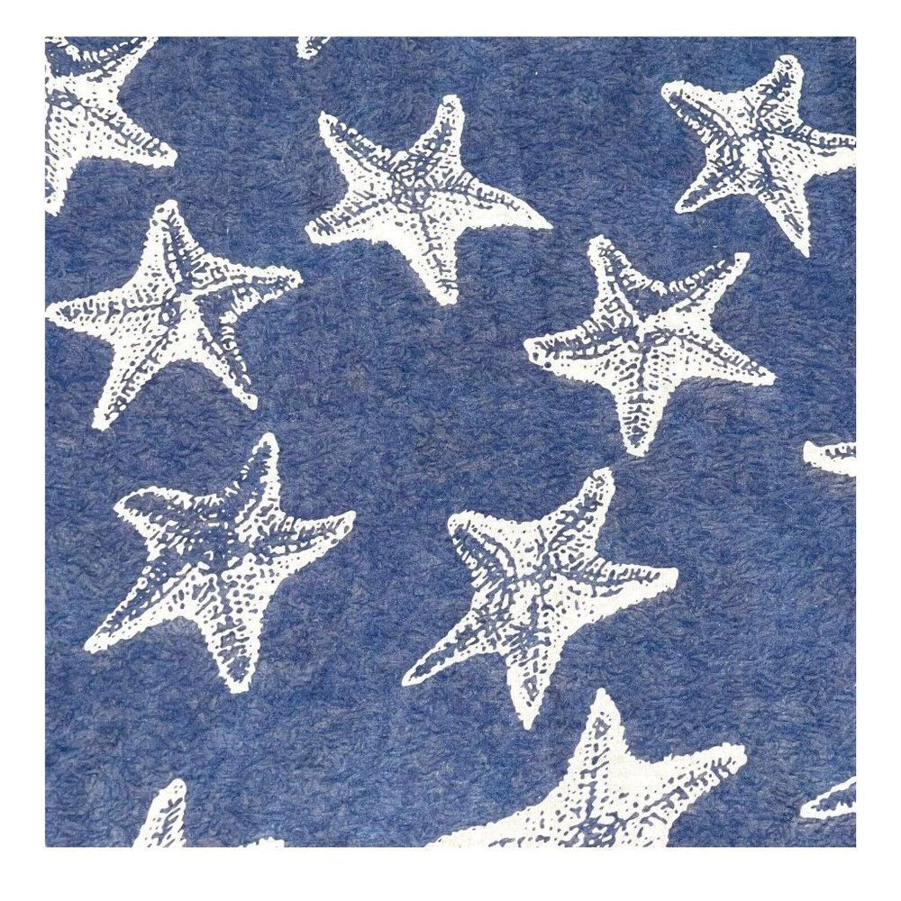 Spring Fall Summer Scarf Light Wrap Long Shell Starfish Star Beach Sea 30x70 NEW